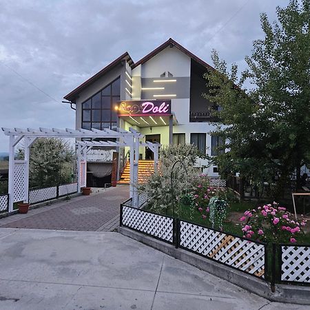 Pensiunea Doli Sighetu Marmaţiei Exterior foto