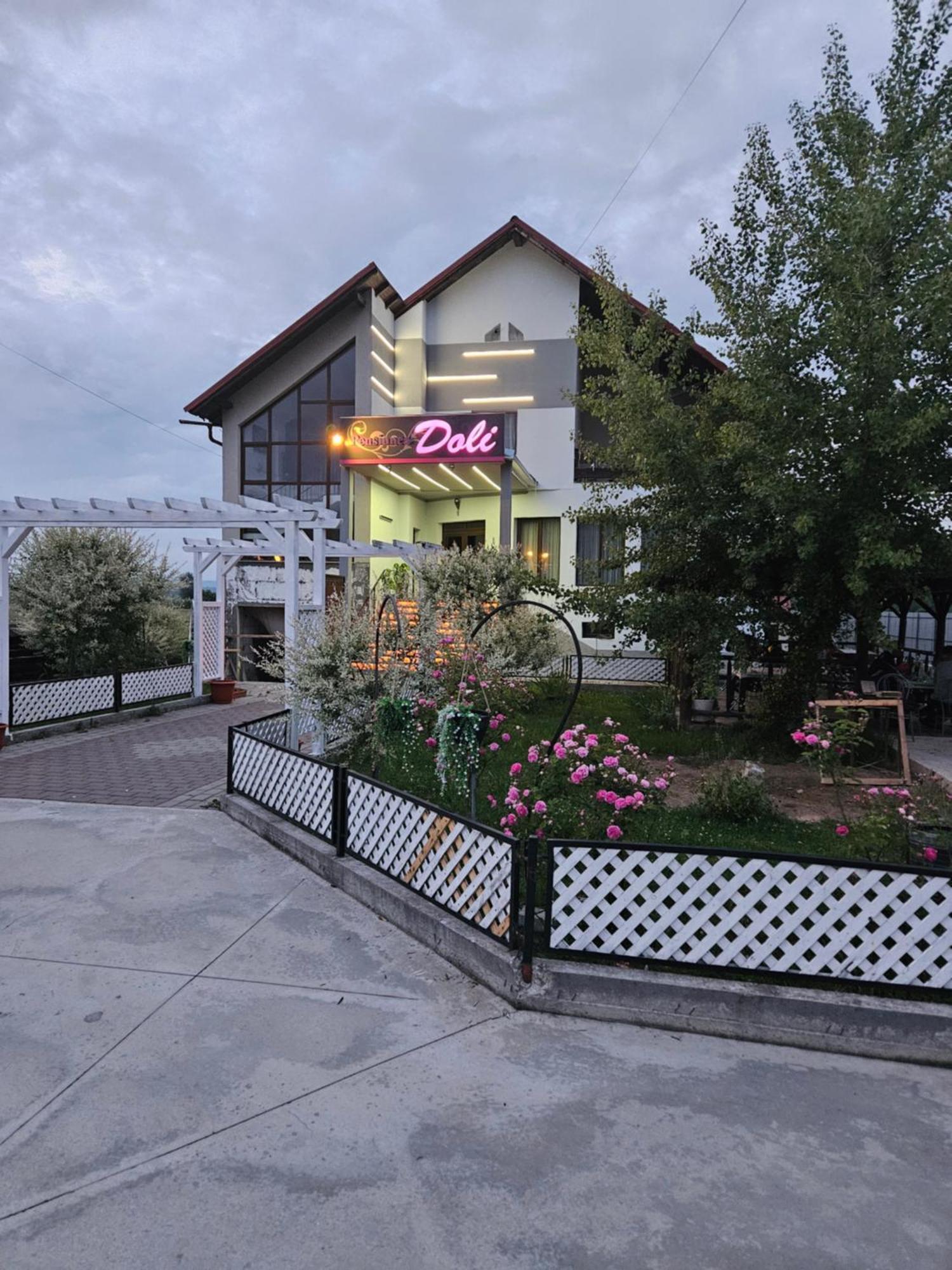 Pensiunea Doli Sighetu Marmaţiei Exterior foto