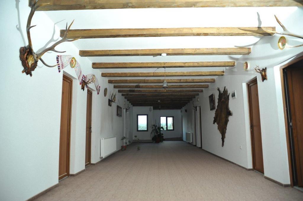 Pensiunea Doli Sighetu Marmaţiei Exterior foto