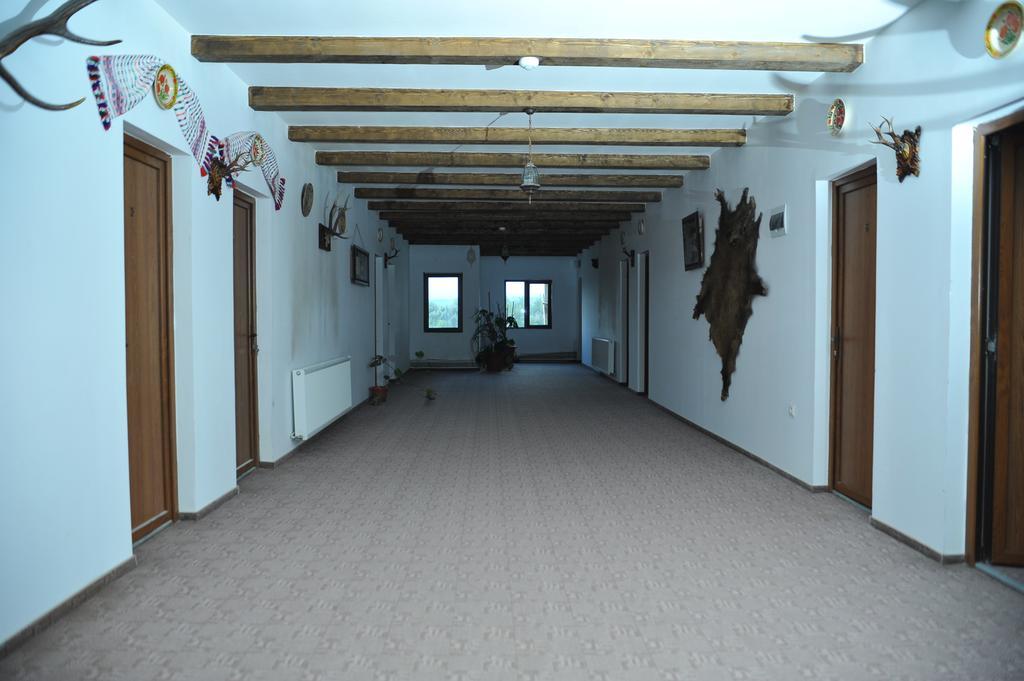 Pensiunea Doli Sighetu Marmaţiei Exterior foto