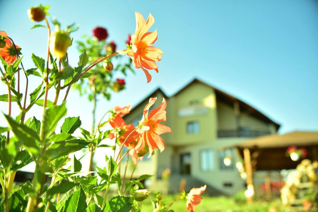 Pensiunea Doli Sighetu Marmaţiei Exterior foto
