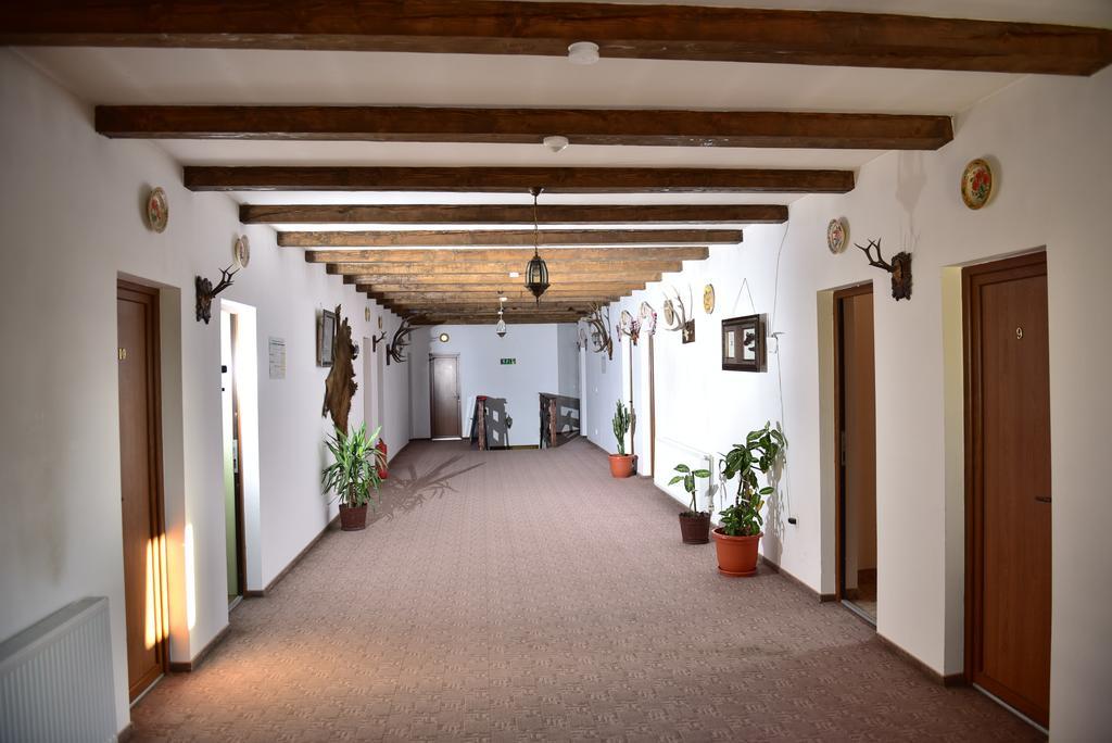 Pensiunea Doli Sighetu Marmaţiei Exterior foto