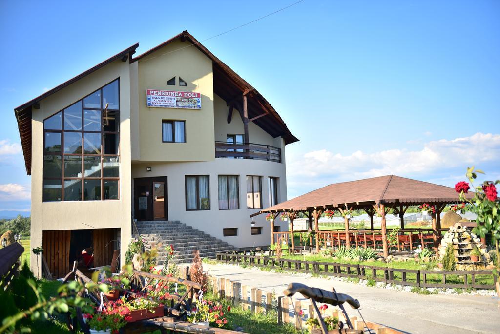 Pensiunea Doli Sighetu Marmaţiei Exterior foto